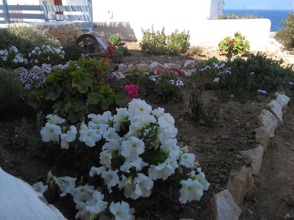 Makares Aparthotel Δονούσα Εξωτερικό φωτογραφία
